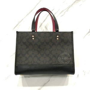 COACH Dempsey Carryall In Signature Canvas With Souvenir Skyline Apple Brown Black