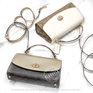 COACH Tilly 23 Top Handle Satchel in Signature Dark Brown Pale Gold (Platinum)