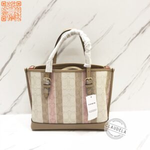 Coach Mollie 25 Strap Signature Jacquard with Stripes Taffy Multi
