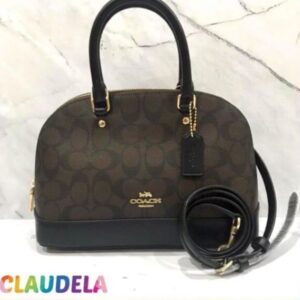 Coach Mini Sierra in Signature Dark Brown